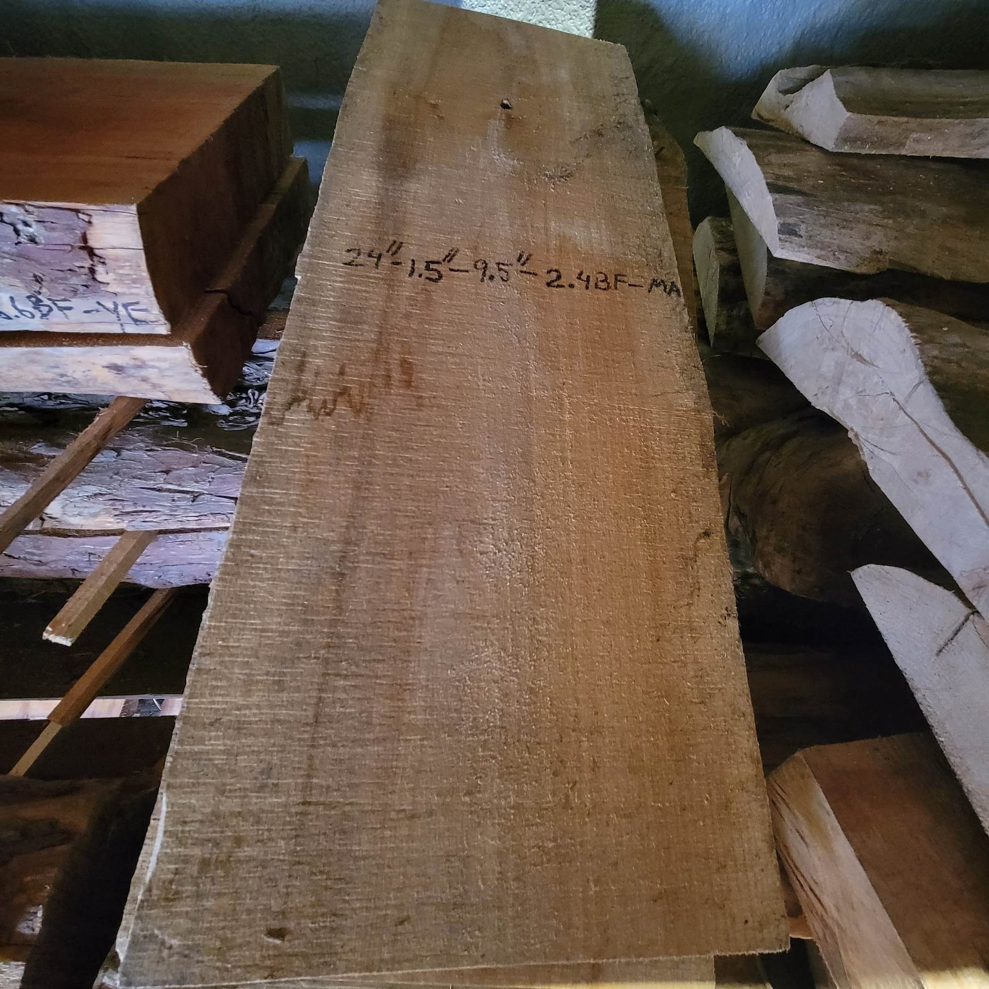 Big Leaf Maple